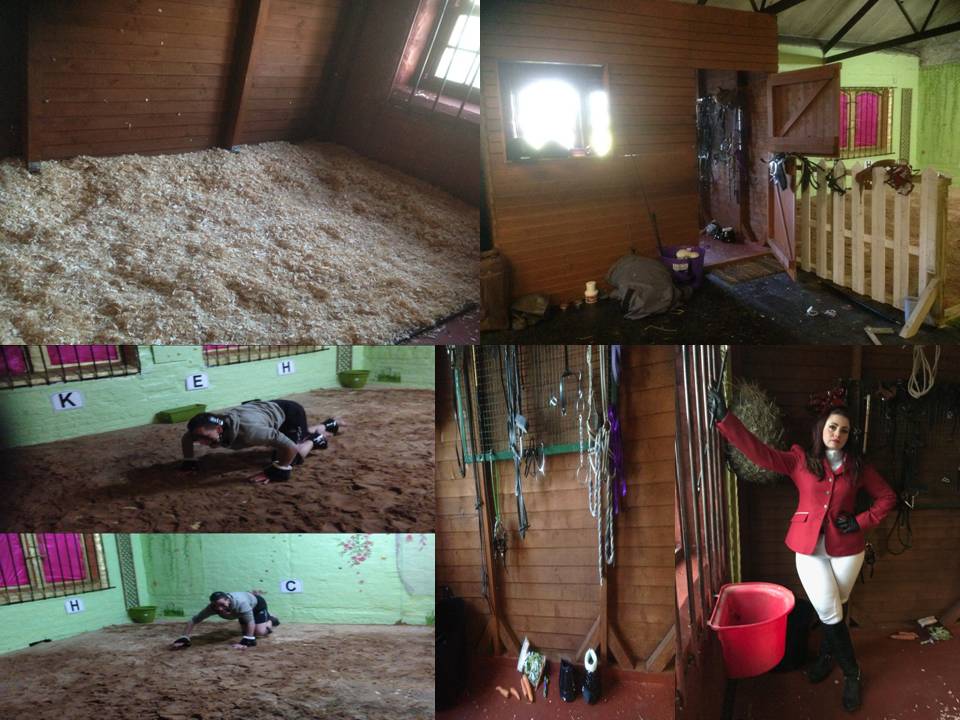 Stable pony play